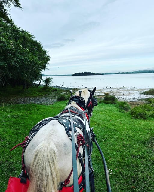 Killarney National Park Tour - Frequently Asked Questions