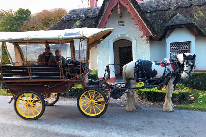 Killarney National Park Tour - Tour Transportation Options
