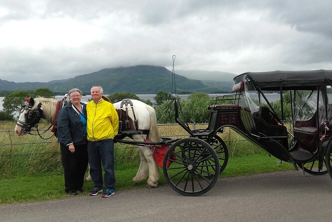 Killarney National Park Tour - Expert Tour Guides