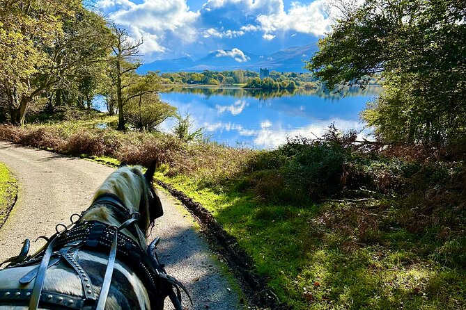 Killarney National Park Tour - Tour Start Times