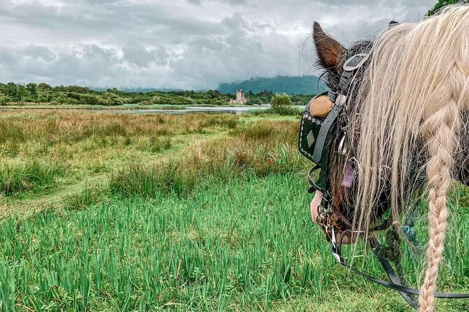 Killarney National Park Tour - Meeting and Pickup Locations