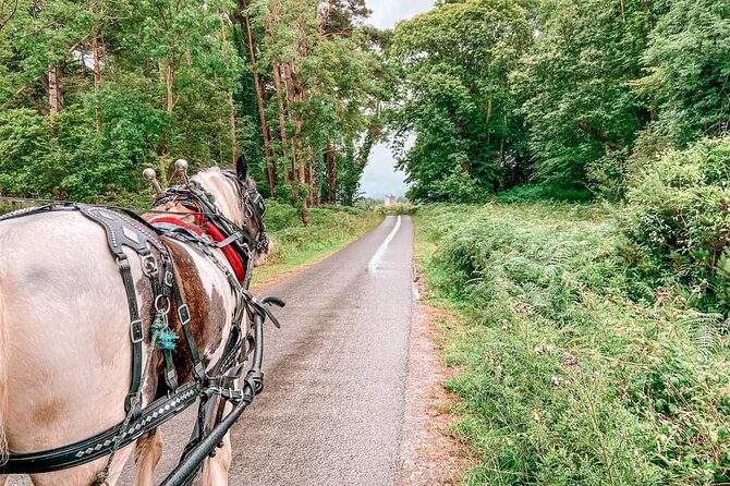 Killarney National Park Tour - Cancellation Policy