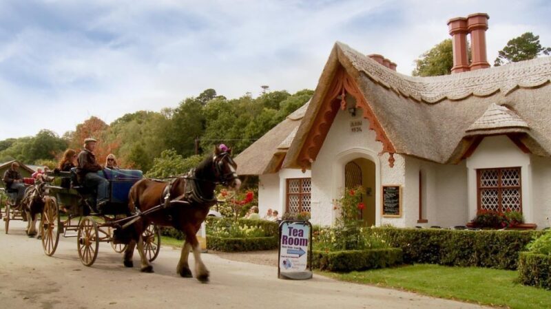 Killarney on Horse & Carriage: 1-Hour Jaunting Car Tour - Key Points