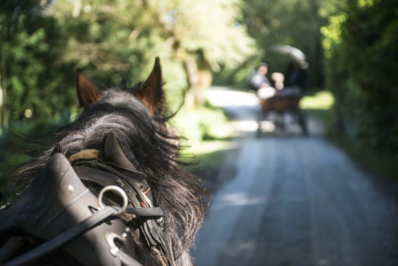 Killarney on Horse & Carriage: 1-Hour Jaunting Car Tour - Meeting Point and What to Bring