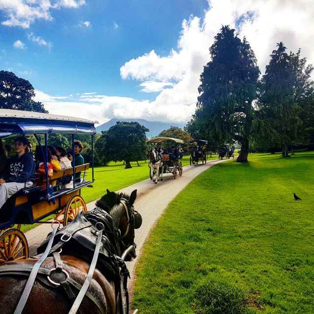 Killarney on Horse & Carriage: 1-Hour Jaunting Car Tour - Frequently Asked Questions