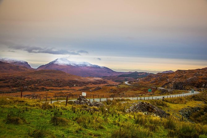 Killarney Super Saver: Dingle and Slea Head Day Trip Plus Ring of Kerry and Killarney Lakes Day Trip - Customer Feedback and Suggestions