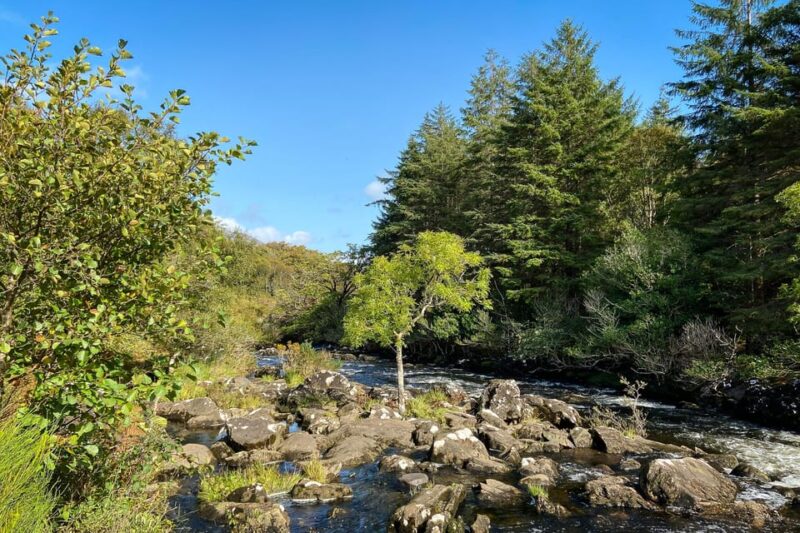 Killarney: The Ring of the Reeks - Backroads Rural Tour - Inclusions