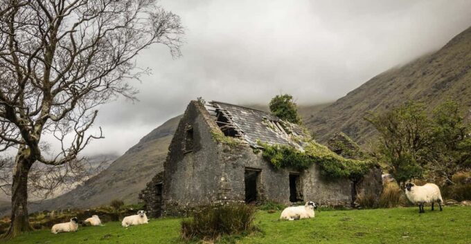 Killarney: The Ring of the Reeks - Backroads Rural Tour - Participant Information