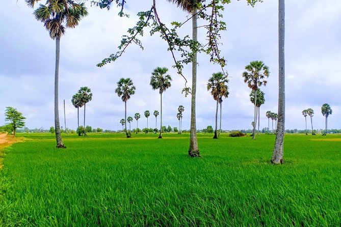 Killing Field & Paddy Rice Fields Bike Ride - Key Highlights