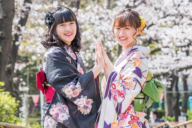 Kimono Beauty - Taking in Japanese Culture