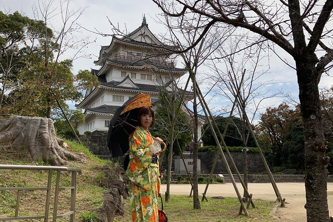 Kimono Dressing & Tea Ceremony Experience at a Beautiful Castle - Restrictions and Requirements