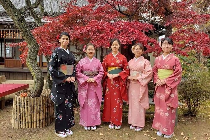 Kimono Experience at Fujisan Culture Gallery With Tea Lesson - Accessibility and Transportation