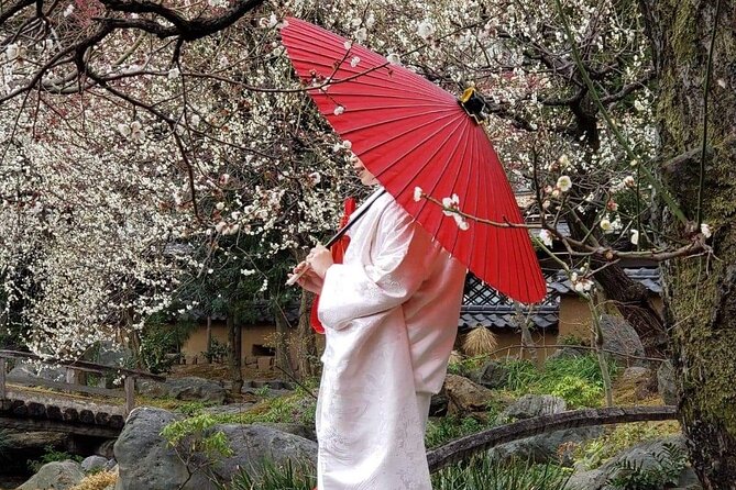 Kimono Tokyo Tour - Kimono Rental and Styling