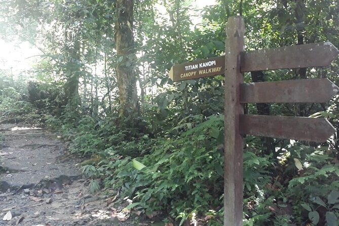 Kinabalu Park Day Trip - Included in the Tour
