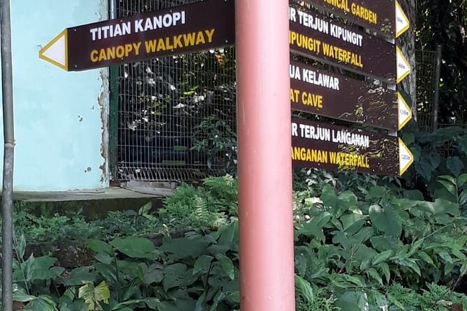 Kinabalu Park Day Trip - Visitor Reviews and Feedback