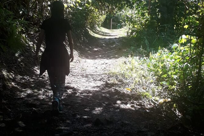 Kinabalu Park Day Trip - Tour Itinerary and Activities
