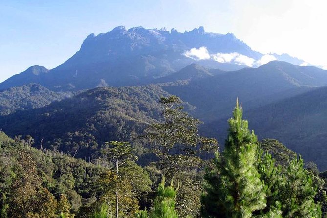 Kinabalu Park & Poring Hot Spring Tour - Diverse Flora and Fauna in the Park