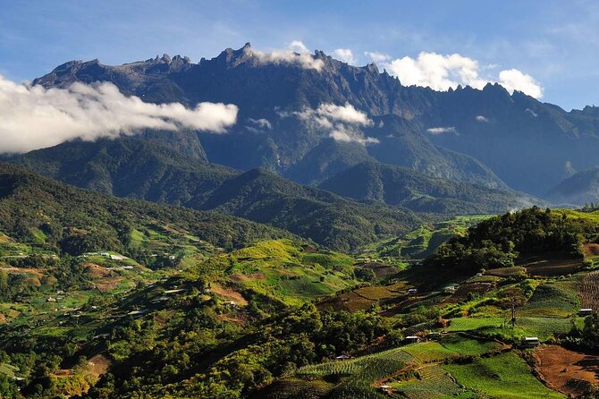 Kinabalu Park & Poring Hot Springs Tour With Desa Dairy Farm - Pickup Information