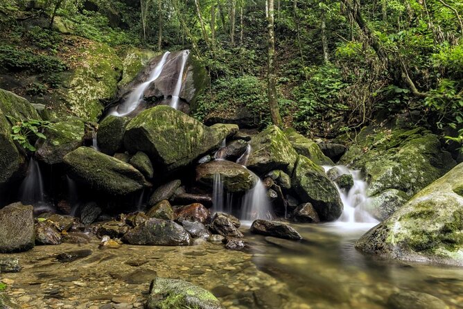 Kinabalu Park & Poring Hot Springs Tour With Desa Dairy Farm - Key Points