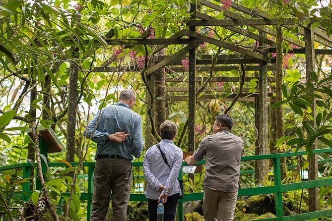 Kinabalu Park & Poring Hot Springs Tour With Desa Dairy Farm - Pickup Information