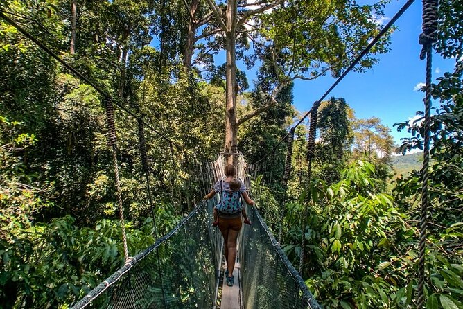 Kinabalu Park & Poring Hot Springs Tour With Desa Dairy Farm - Exploring Kinabalu National Park