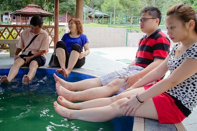 Kinabalu Park Tour With Desa Dairy Farm & Poring Hot Springs - Discovering Kinabalu Park
