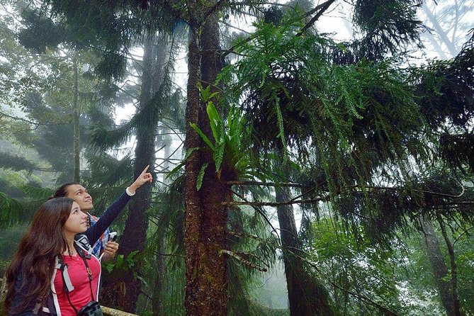 Kinabalu Park Tour With Desa Dairy Farm & Poring Hot Springs - Highlights of the Exhibition Hall