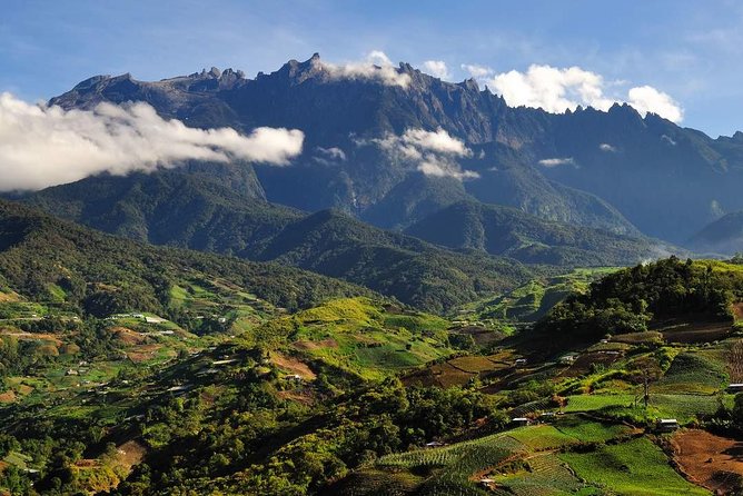 Kinabalu Park Tour With Desa Dairy Farm & Poring Hot Springs - UNESCO World Heritage Status