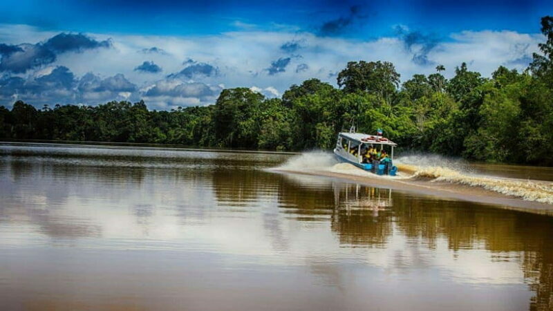 Kinabatangan River Trip from Sandakan with Lunch Included - Final Thoughts