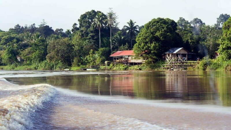 Kinabatangan River Trip from Sandakan with Lunch Included - FAQs