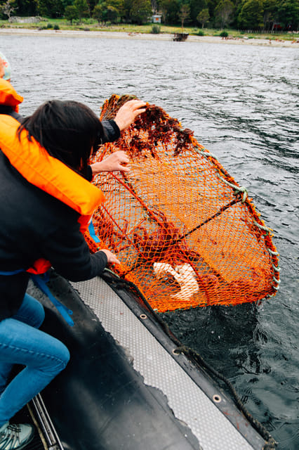 King Crab Fishing Experience - Experience Highlights