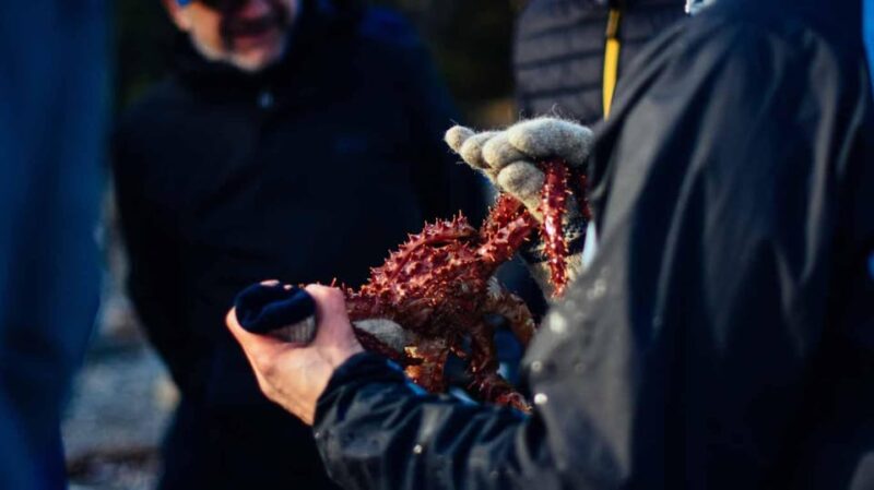 King Crab Fishing Experience - Activity Inclusions