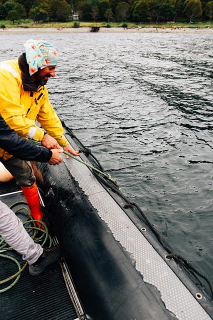 King Crab Fishing Experience - Meal and Cuisine