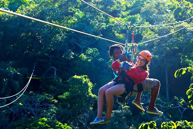 King Kong Extreme Zipline, City Tour, Sloths & Monkeys, Private Shuttle - Guest Reviews