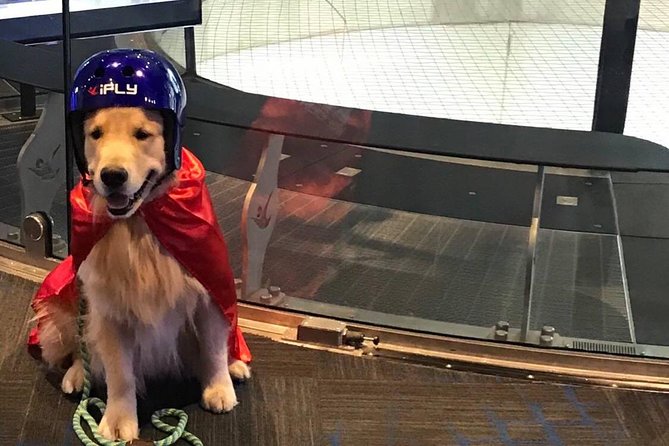 King of Prussia Indoor Skydiving With 2 Flights & Personalized Certificate - Certificate of Flight Achievement