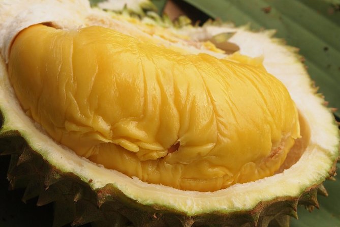 King of Tropical Fruits - Durian Tasting Tour From Kuala Lumpur - Pickup and Drop-off Details
