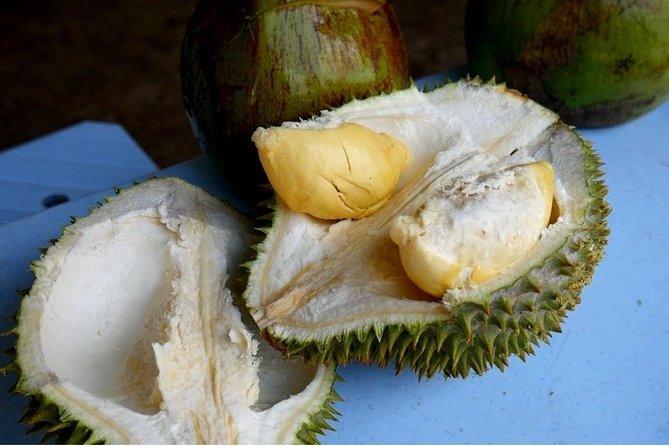 King of Tropical Fruits - Durian Tasting Tour From Kuala Lumpur - Durian Varieties Sampled