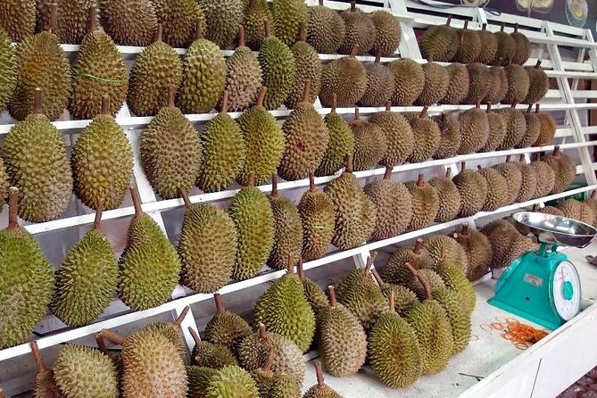 King of Tropical Fruits - Durian Tasting Tour From Kuala Lumpur - Customer Feedback and Ratings