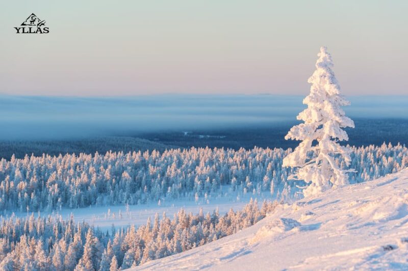 King of Ylläs: Snowmobiling to the Hill - Experience Highlights