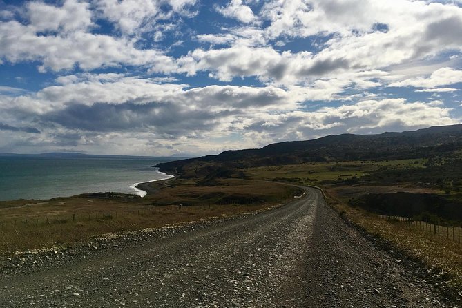 King Penguin - Tierra Del Fuego Island - Tour Suitability and Recommendations