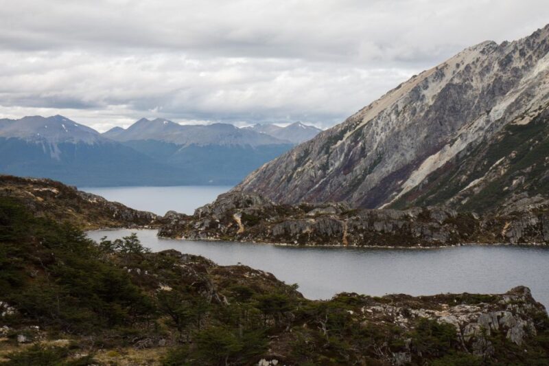 King Penguin & Tierra Del Fuego Tour - Itinerary Highlights