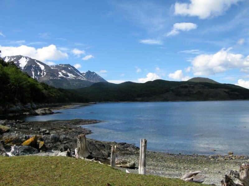 King Penguin & Tierra Del Fuego Tour - Customer Reviews