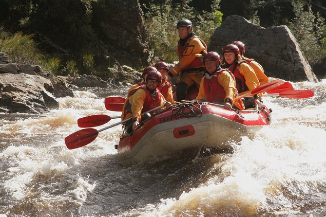 King River Raft & Steam Experience - Amenities and Extras