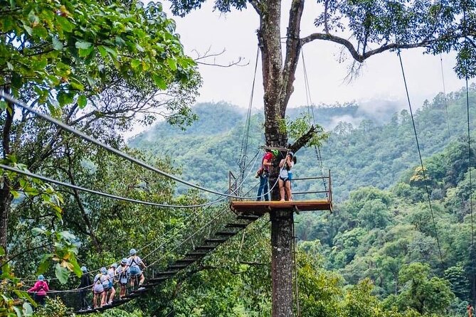 Kingkong Smile Zipline Adventure Tour From Chiang Mai - Chiang Mai Highlight Attraction