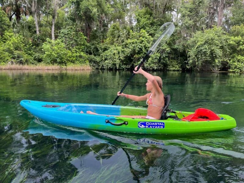 Kings Bay, Crystal River: Gentle Sunrise Manatee Kayak Tour - Key Points