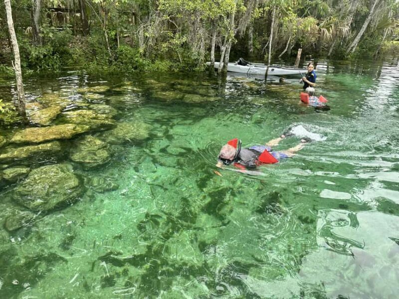 Kings Bay, Crystal River: Gentle Sunrise Manatee Kayak Tour - Final Thoughts