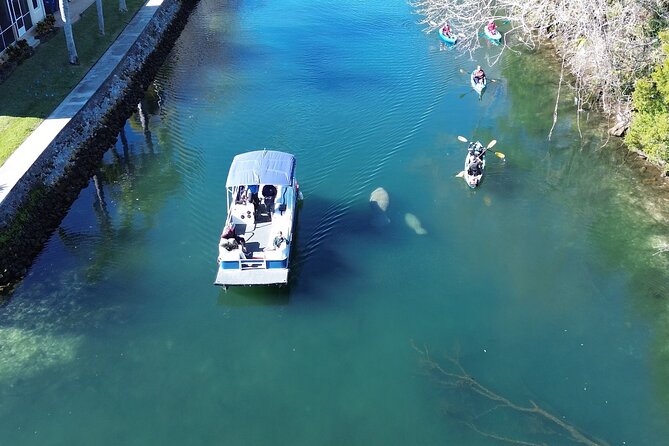 Kings Bay Eco Tours - What to Expect