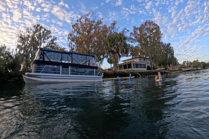 Kings Bay Manatee Watching Cruise - Tour Guides and Captains