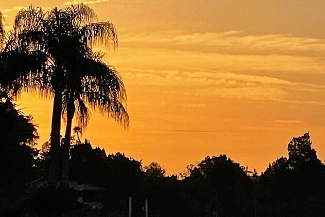 King's Bay Sunset Cruise - Key Points