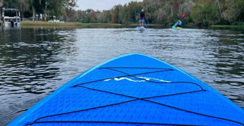 Kings Bay/Three Sisters: Self Guided Tour- ClearBottom Kayak - Introduction to Kings Bay and the Kayaking Experience